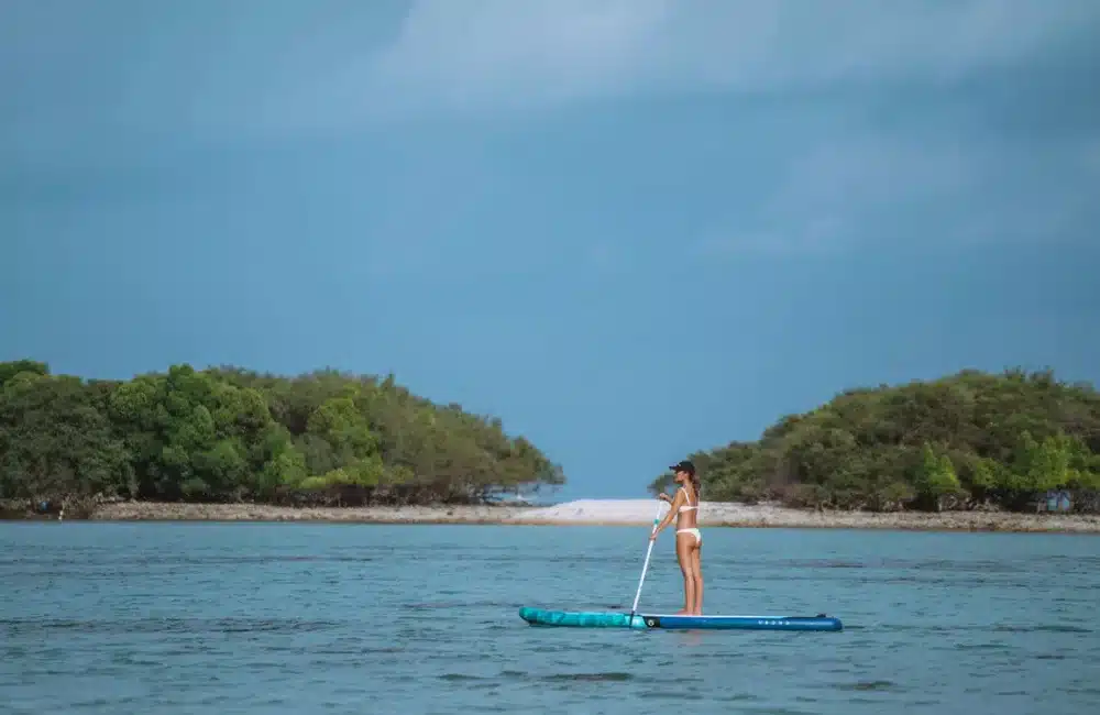 Glide Across Waters on a Paddleboard