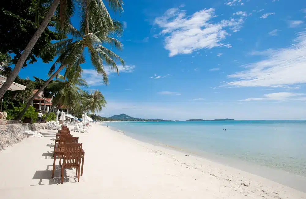 Top 5 Must-Visit Beaches in Thailand