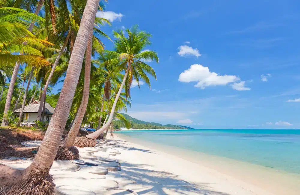 3-Day Koh Samui Itinerary_ The Best Koh Samui Guide
