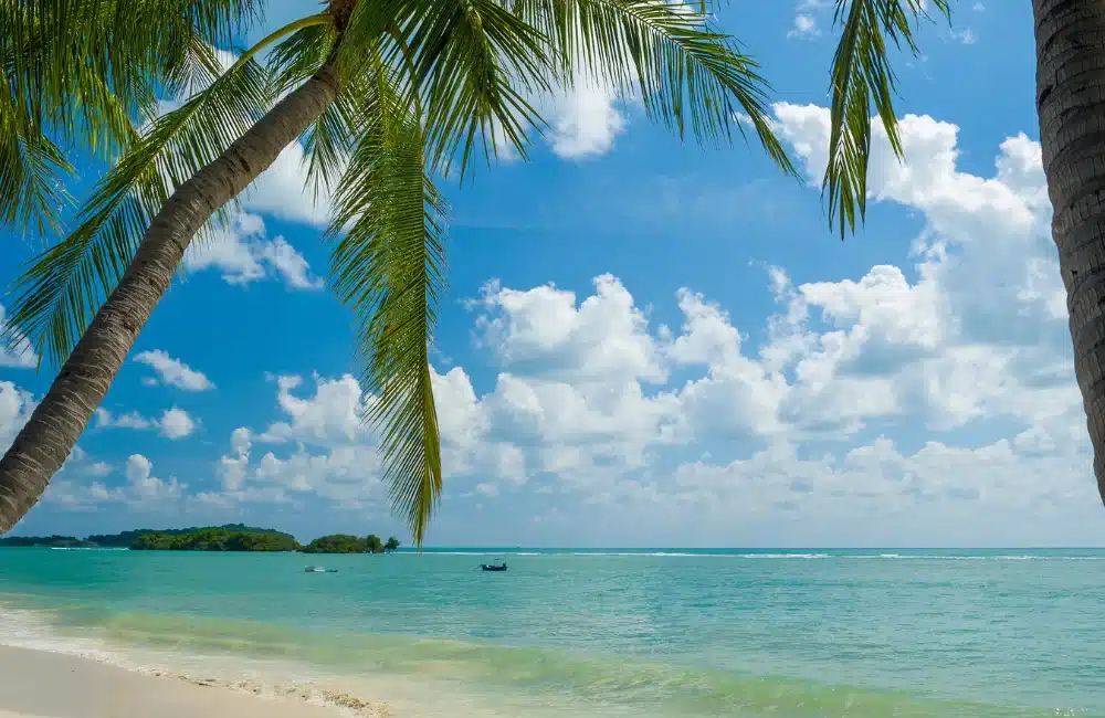 Koh Samui in Sunny January